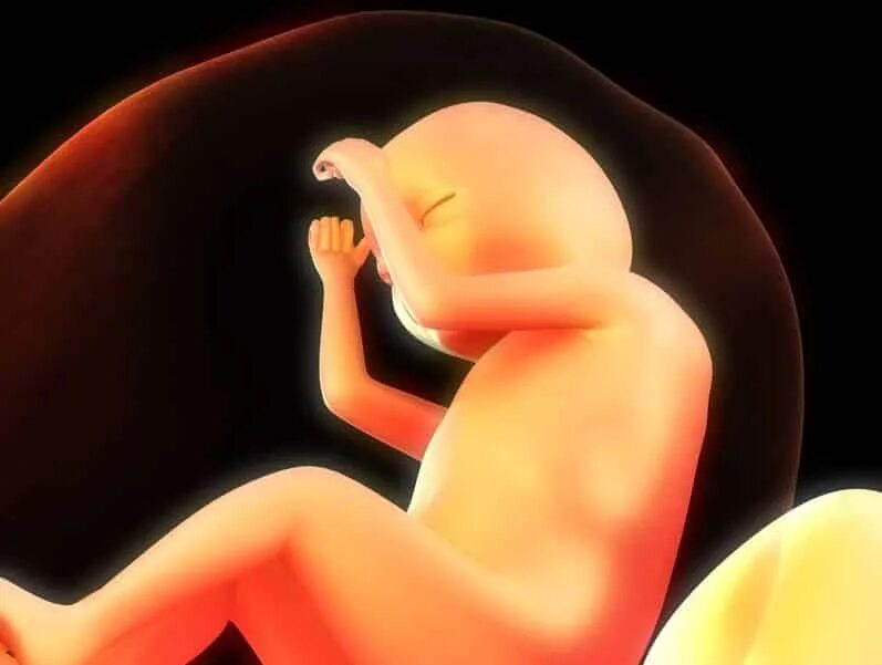 Разрисовать беременный животик. Живопись младенец в утробе. Ребенок в утробе арт. Стихи для детей в животике. Этапы роста ребёнка в животе.