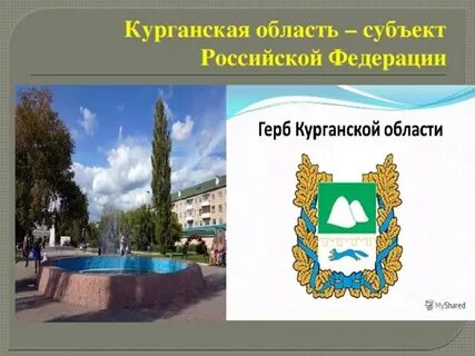 Курганская область субъект