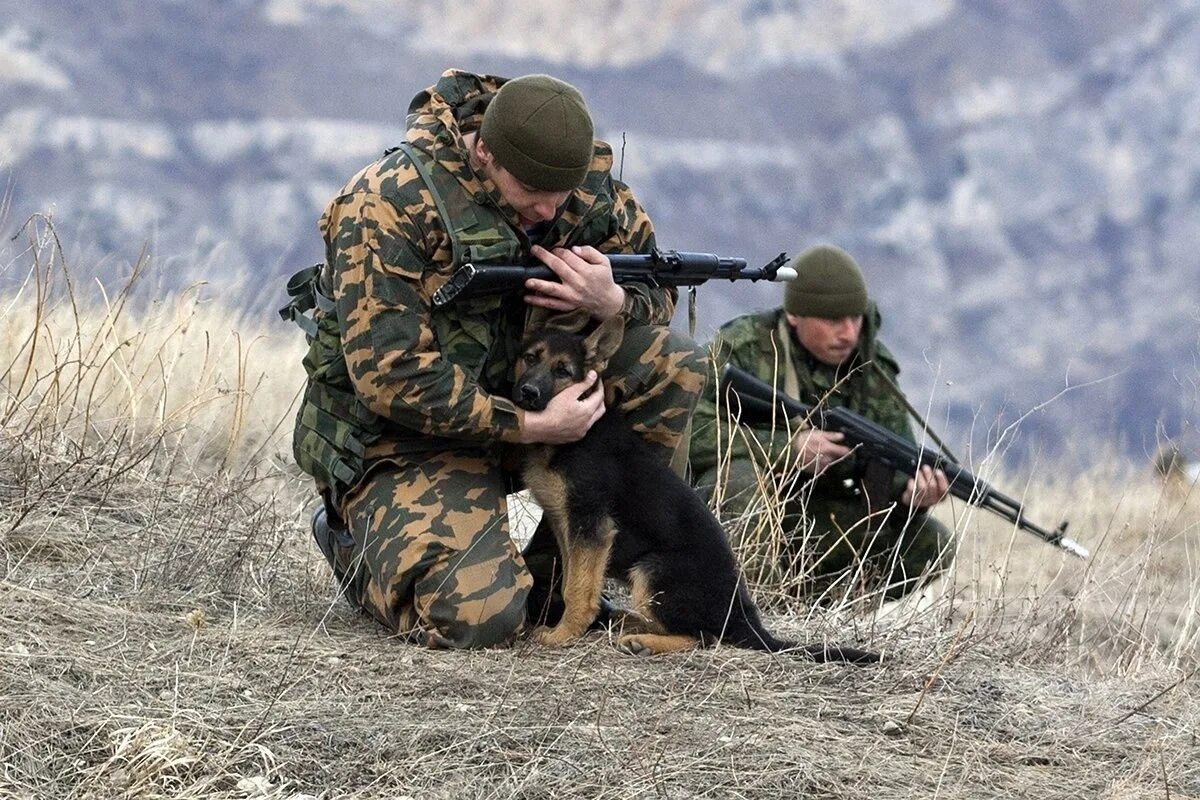 Про военную разведку. Дарьял Владикавказ полигон. Дарьял спецназ. Дарьял разведка. Дарьял полигон разведки.