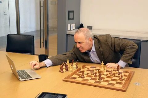 Шахматный гроссмейстер шахматные гроссмейстеры