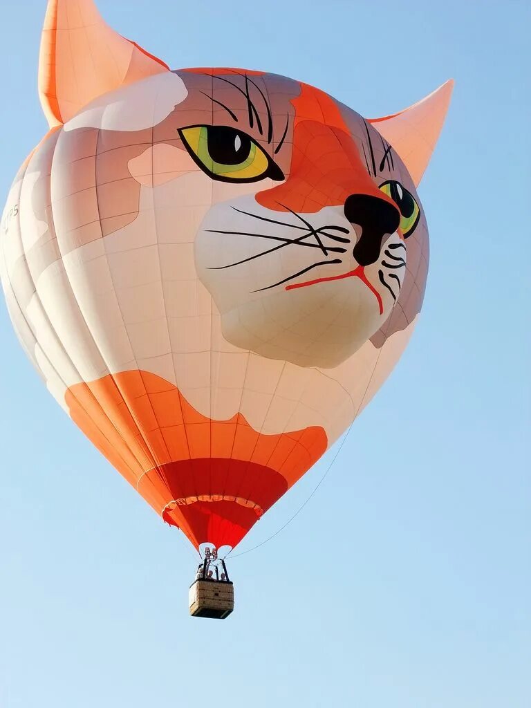 Кошка с воздушными шариками. Воздушный шар кот. Воздушный шар в виде кота. Воздушный шарик в виде кота. Кот на воздушных шариках.