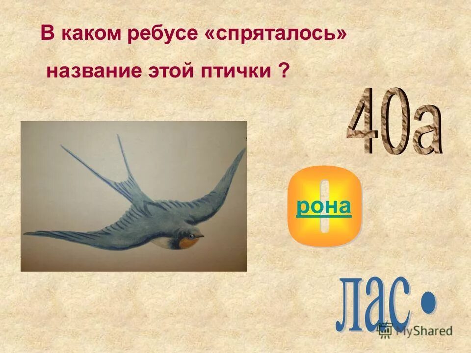 ребусы в которых спрятались имена. разгадайте ребусы в которых спрятались имена запишите эти. разгадай ребусы в которых спрятались имена. ребус три кота. шарады по русскому языку 2 класс.