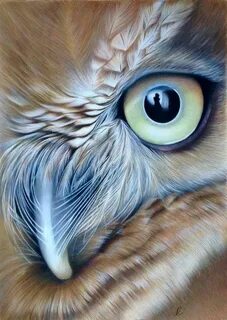 Нарисовать реалистично животного