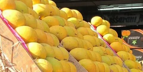 Viral mango