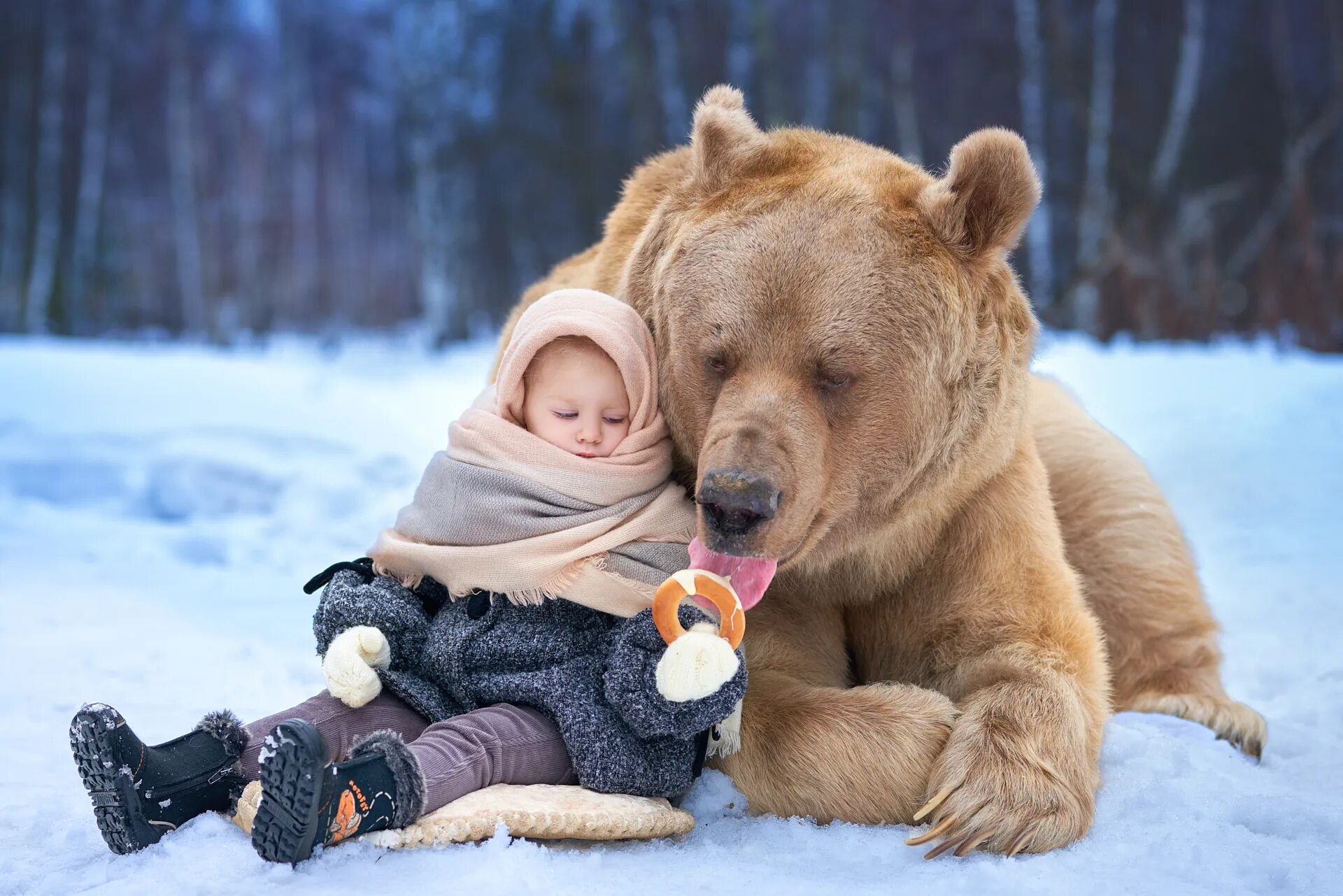 Самая добра картинка. Медведь Степан. Медведь Степан Шапша. Фотосессия с медведем Степаном. Ручной медведь.