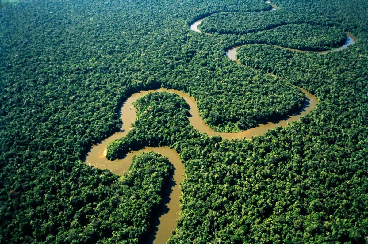 река дон в тульской области. река дон. река дон в ростовской области. река дон в вешенской. река дон вешенская.