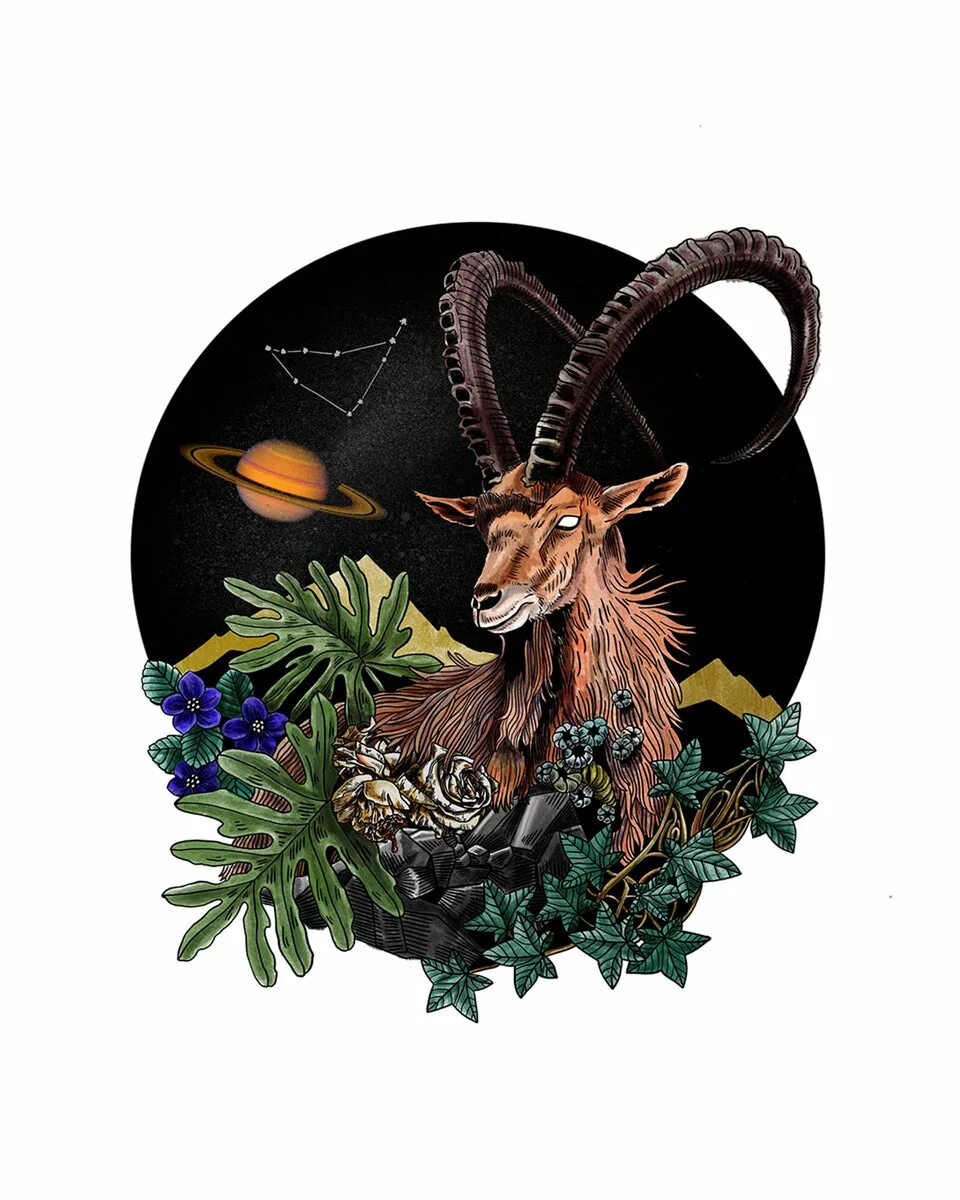 Козерог животное гороскоп. Козерог. знаки зодиака. козерог. козерог арт. козерог зодиак.