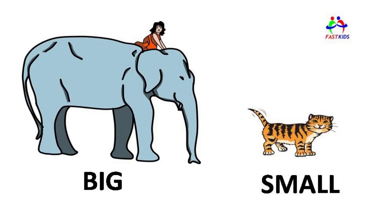 Small big com