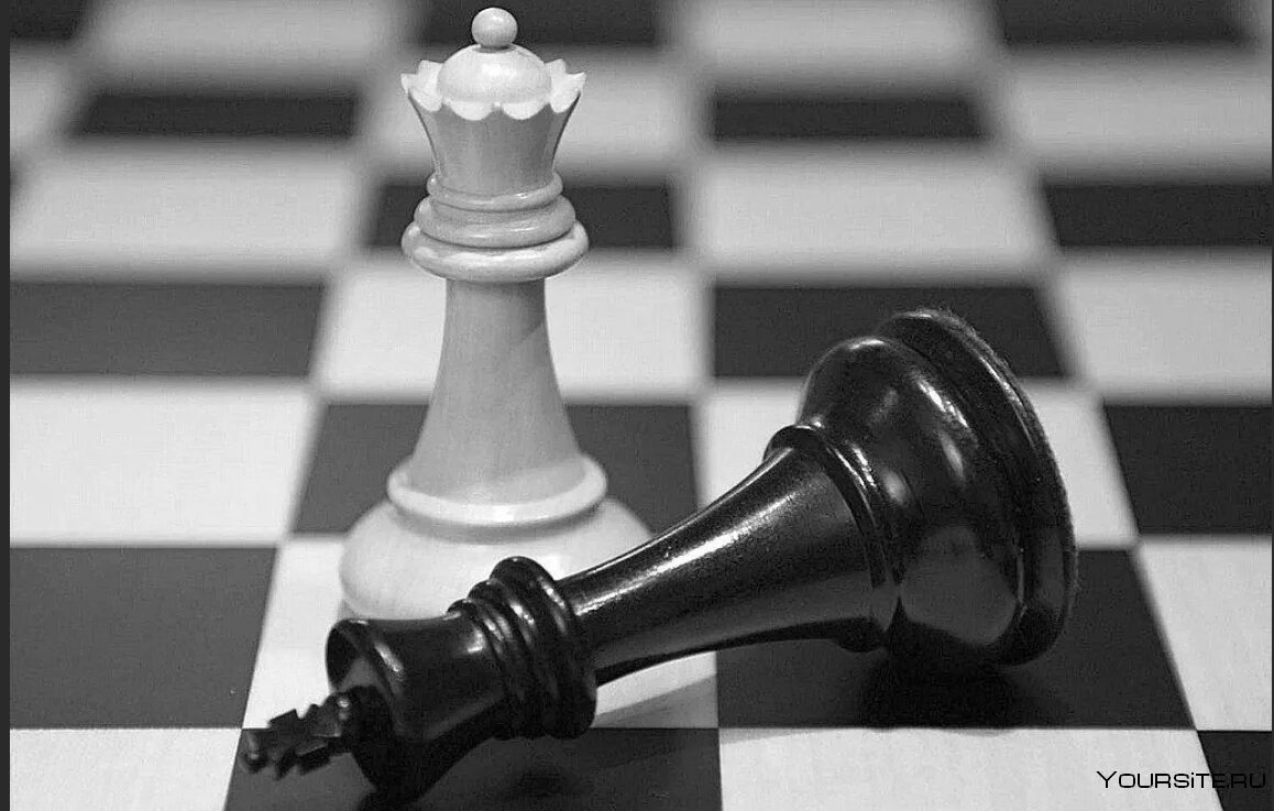 Checkmate. Checkmate