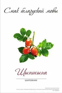 Прыгажосць мовы
