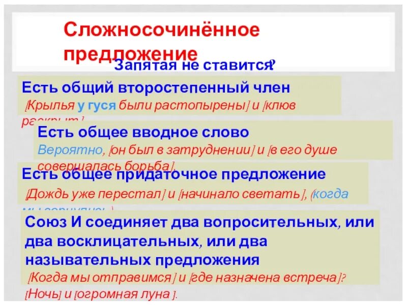 Слово было в сложносочиненном предложении. Сложносочиненное предложение с общим второстепенным членом. Общее придаточное предложение в сложносочиненном предложении. Сложносочиненное предложение с общим придаточным.