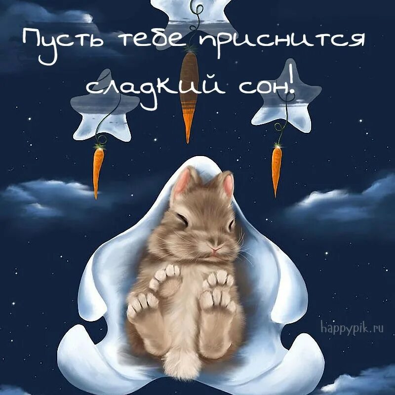 Сладких снов зайчик. Сладких снов зайчик. Спокойной ночи зайчик. Сладких снов картинки. Спокойной ночи зайка.