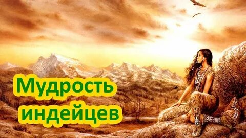 Мудрость видео