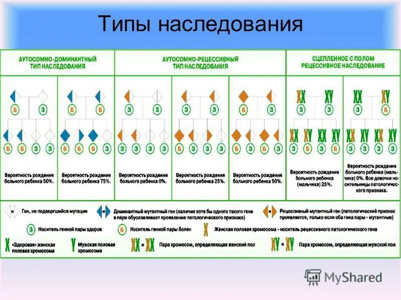 На этом месте растёт текст, но он ещё не созрел.