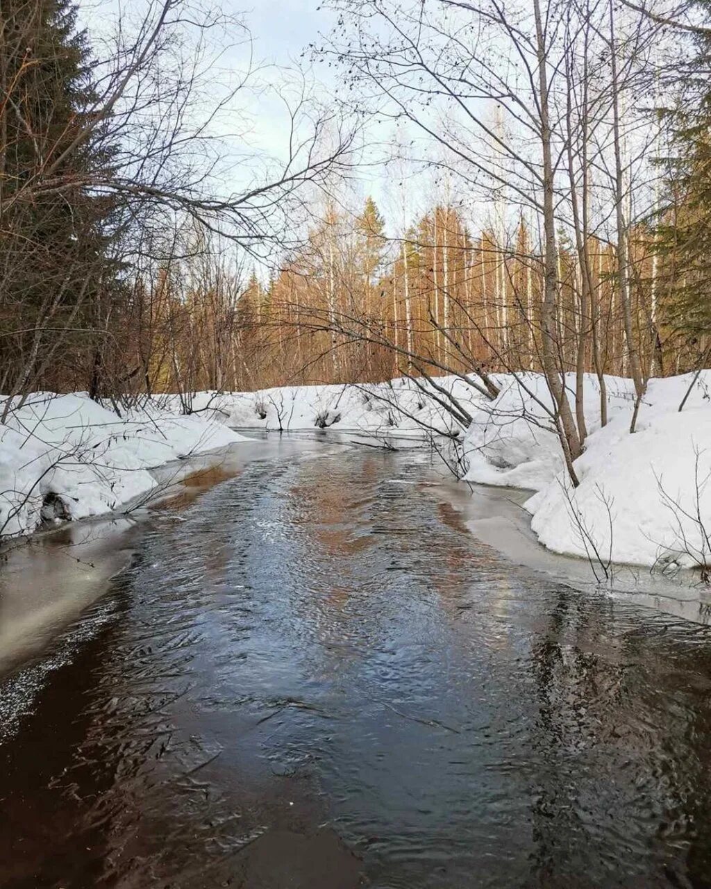 Весенний Ручеек. Ручьи весной. Талые воды весной