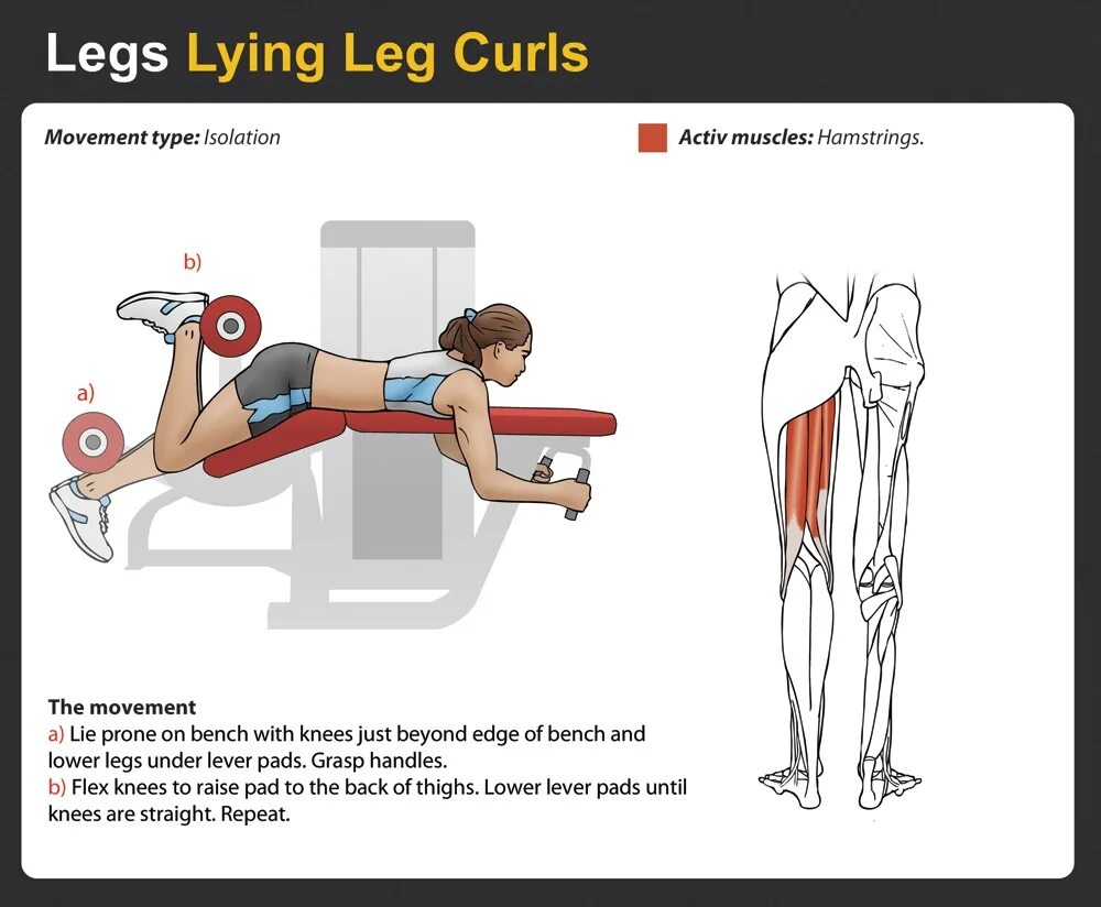 How to curl. Hamstring Curl упражнение. Lying Leg Curls упражнение. Lying Leg Curl. Prone Leg Curl техники.