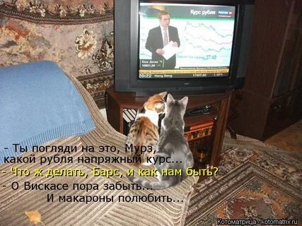 Ты погляди