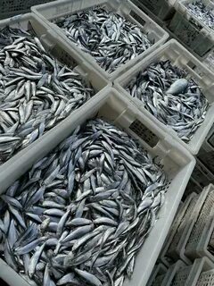 Продавать через каспий