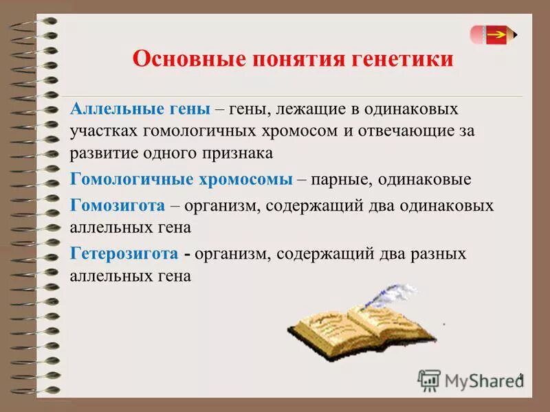 Организм содержащий два одинаковых аллельных гена. Альтернативные признаки гена. Взаимодействие аллельных генов по типу кодоминирования. Типы взаимодействия аллельных генов. Организмы, имеющие одинаковые аллели одного гена….