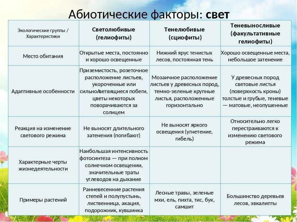 Абиотические факторы среды это в биологии. Таблица абиотические факторы фактор влияние. Характеристика абиотических факторов среды. Абиотические факторы свет температура влажность.