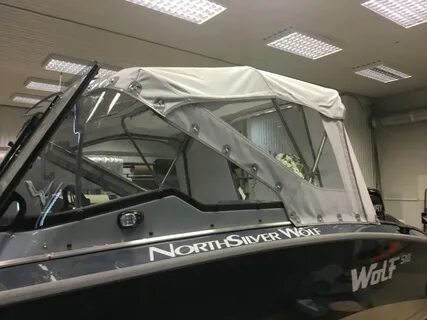 Silver wolf 18