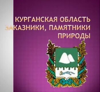 Книга курганская область