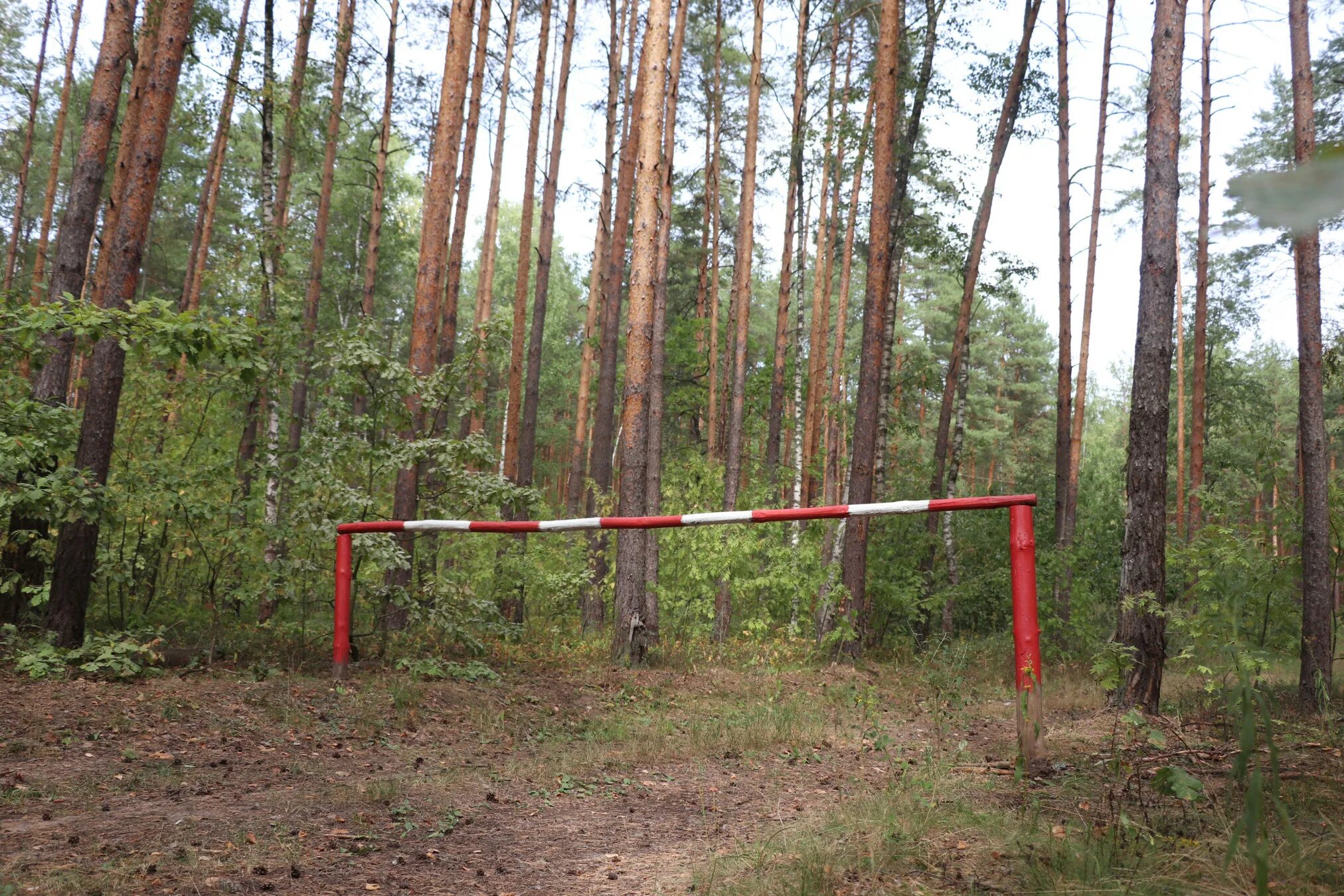Районы леса закрытые для посещения