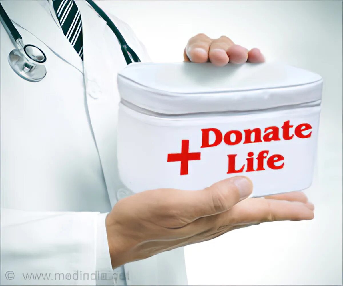 Donation definition