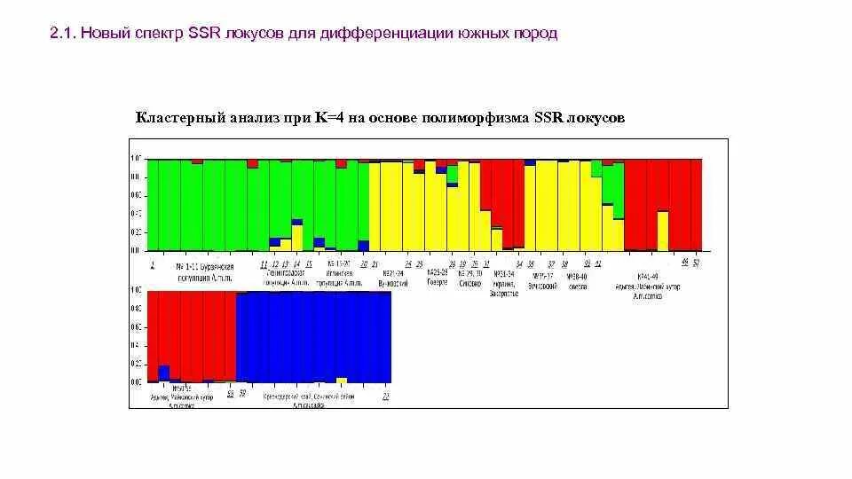 Новый спектр Самара. Спектры ПЦР. SSR метод повторы. Новый спектр Панюков.