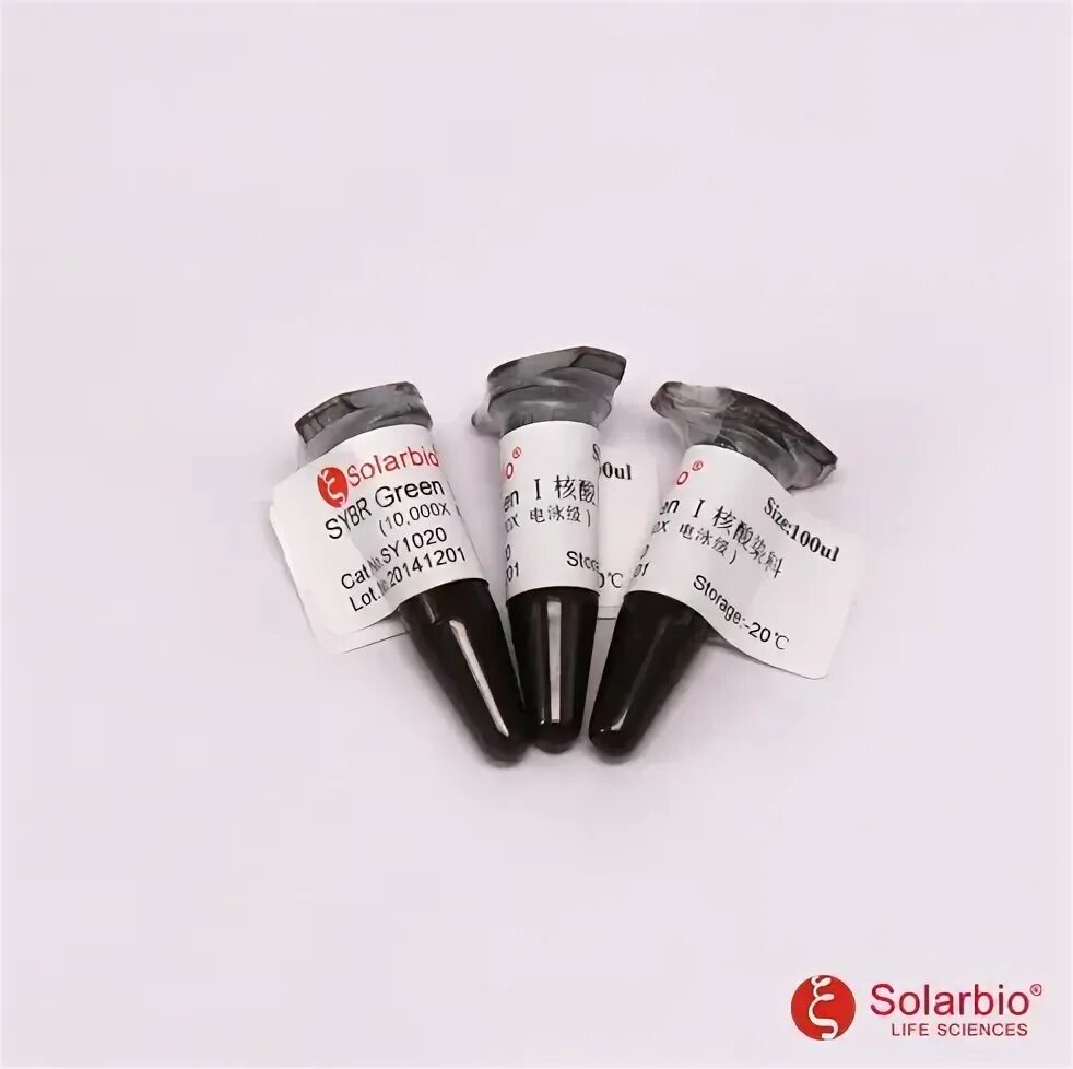 Sybr green i. Sybr green краситель. Мастер микс для пцр. Интеркалирующие красители sybr green i. Красители для гель-электрофореза.