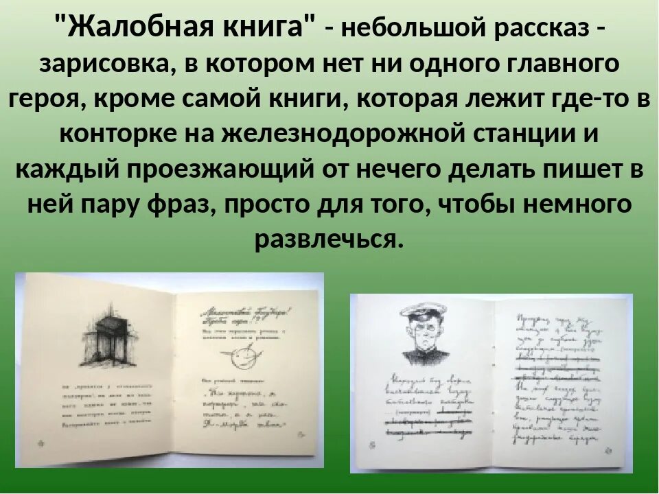 Жалобная книга краткое