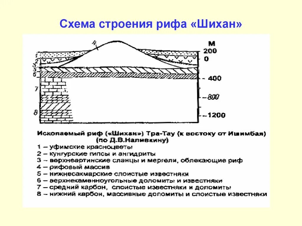 Строение барьерного рифа. Схема кораллового рифа. Схема образования кораллового острова атоллы. Риф в геологии. Зоны кораллового рифа.