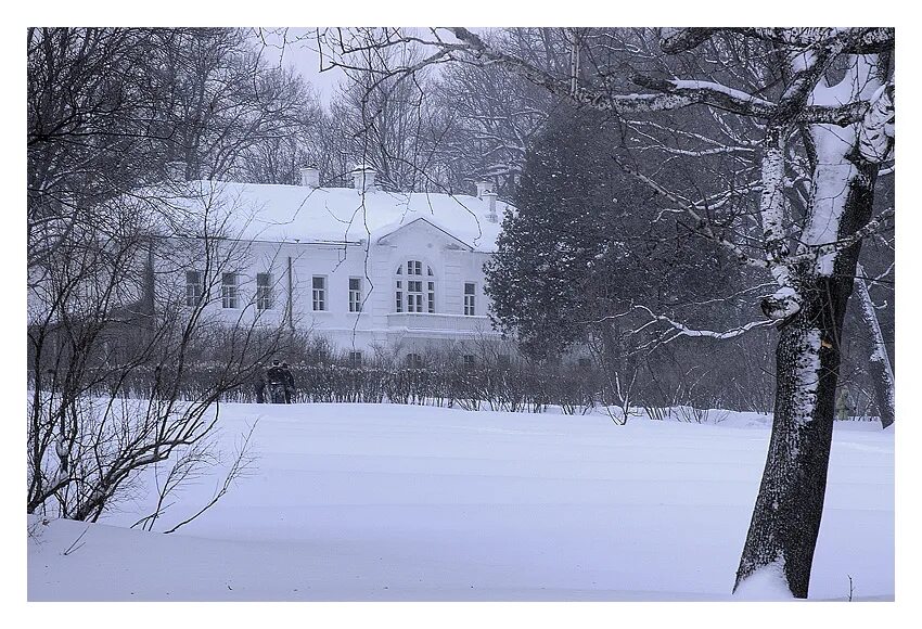 Ясная поляна зимой. Филиал ясная поляна зима. Ясная поляна зимой. Ясная поляна тула зима. Музей усадьба ясная поляна зимой.