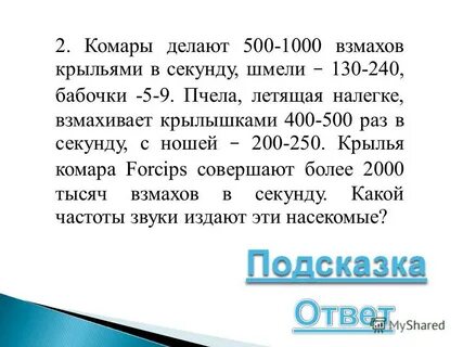 Пчела взмахов в секунду