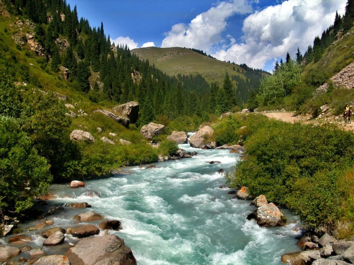 Горной рекой называется. Карпаты, урал, алтай. Бзыбь река абхазия пороги. Маккензи канада. Уссурийская тайга горная речка.