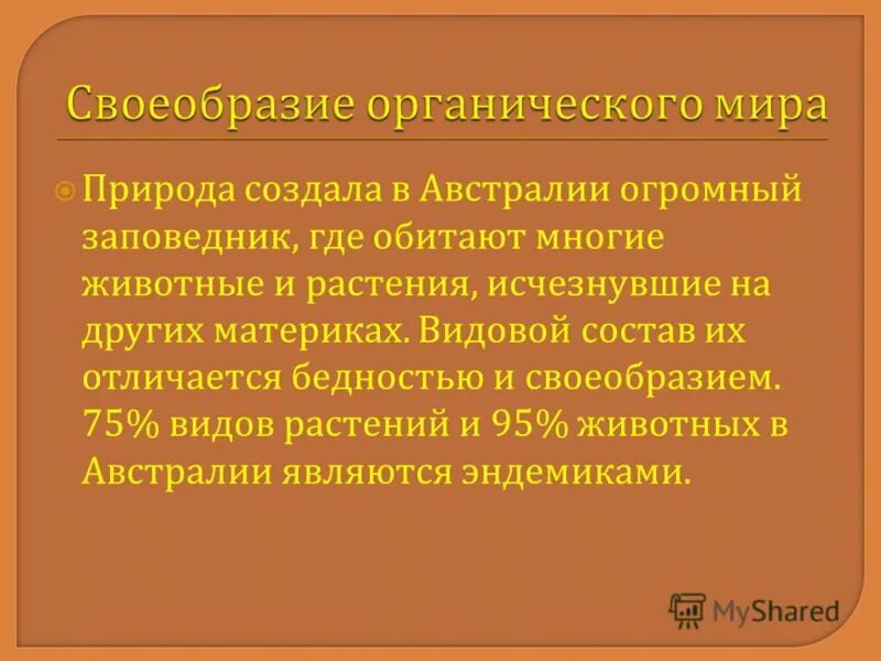 Своеобразие животных. Своеобразие животных это. Сумчатый дьявол в австралии сообщение. Животные амурской области картинки. Природная зона утконоса.