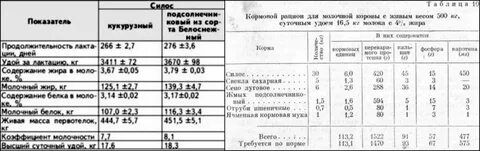 Сколько раз доить после отела