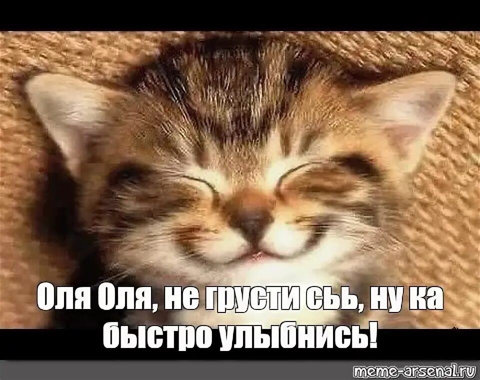 Ну ка быстро давай. А ну ка быстро улыбнись. ну ка быстро улыбнись картинки. ну ка быстро улыбнулся. ну ка быстро.