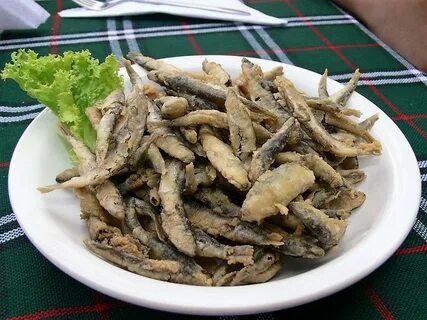 Рыба цаца цимлянская