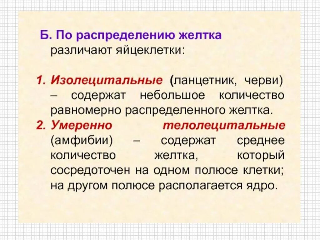 Строение сперматозоида