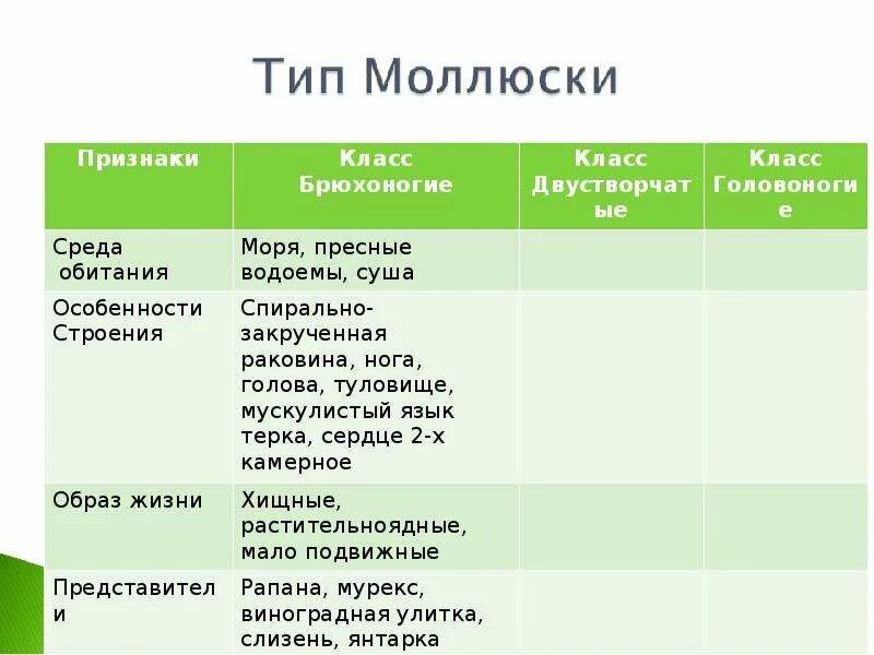 Значение в природе и жизни человека классговоногие. Значение классов моллюсков. Значение головоногих моллюсков таблица. Значение головногогих в природе. Роль головоногих