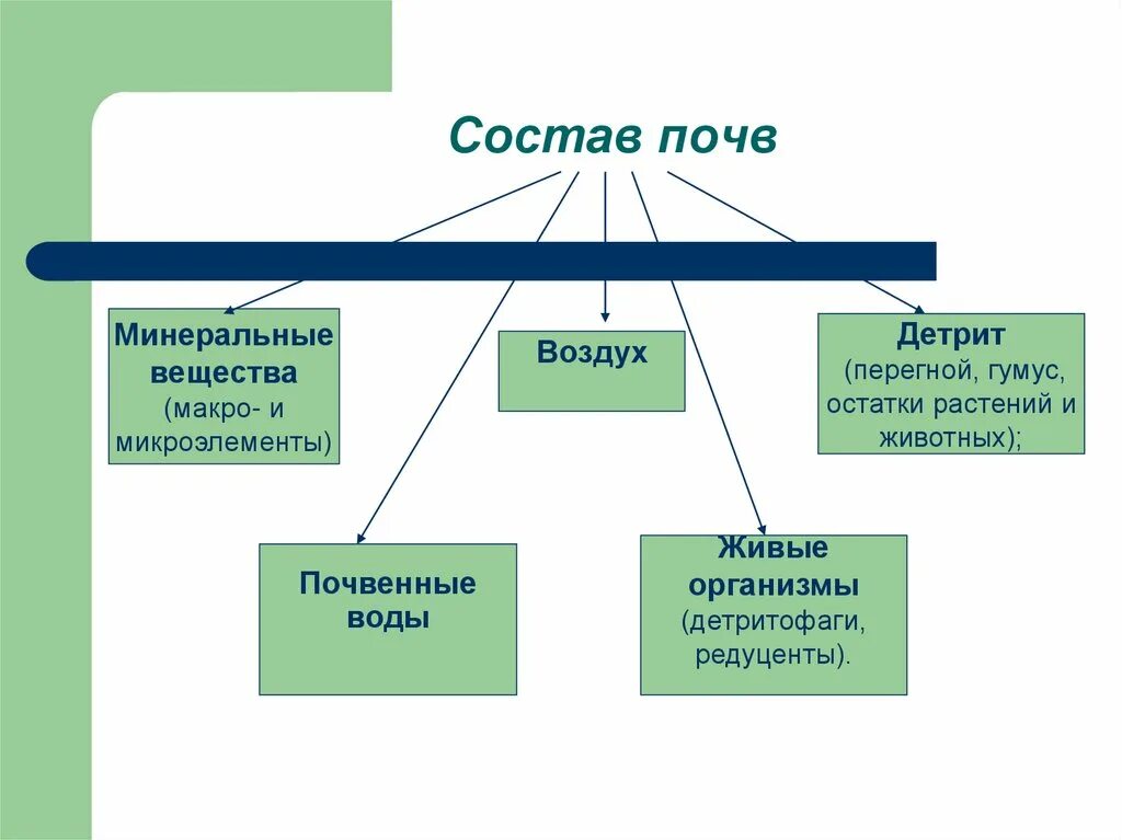 Состав почвы. Минеральный состав почвы. Минерализация почвы. Минеральные вещества в составе почвы. Минеральный грунт состав.