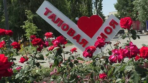Погода на 10 дней таловая воронежская