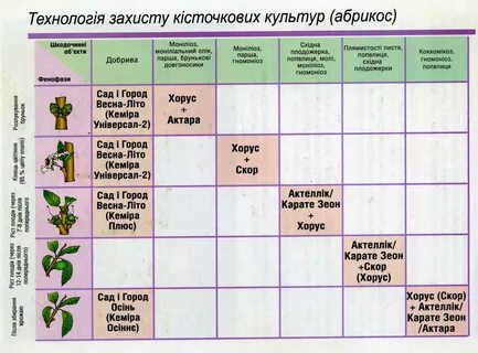 Обработать персик