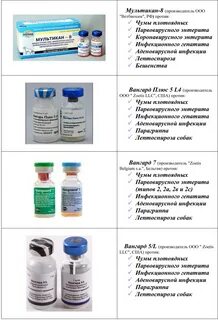 Название прививок для щенков