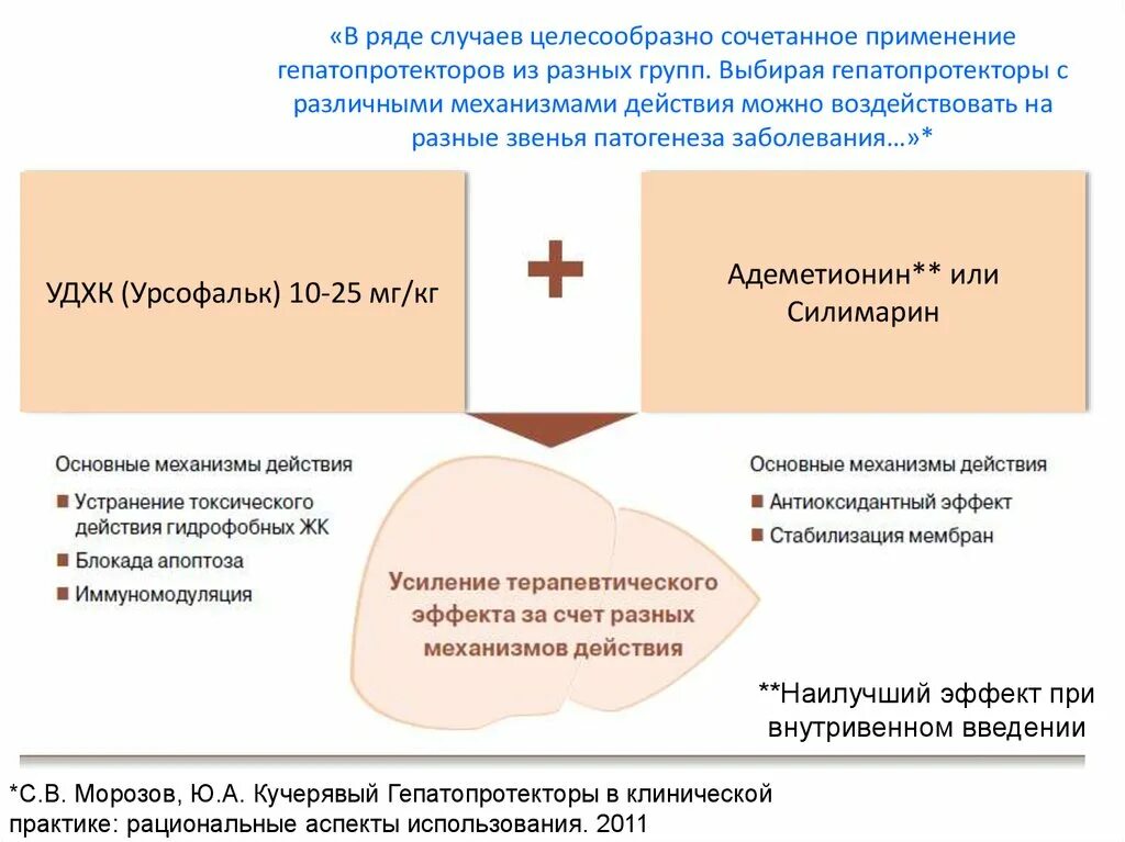 Гепатопротекторы эффективность. Механизм действия гепатопротекторов. Классификация гепатопротекторов. Гепатопротекторы механизм действия схема. Гепатопротекторы механизм действия фармакология.