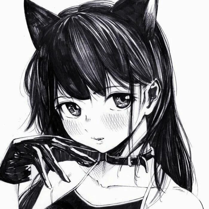 Аниме с ушками черно белые. Тянки манга. Cat girl manga. Аниме неко тян. Аниме с ушками.