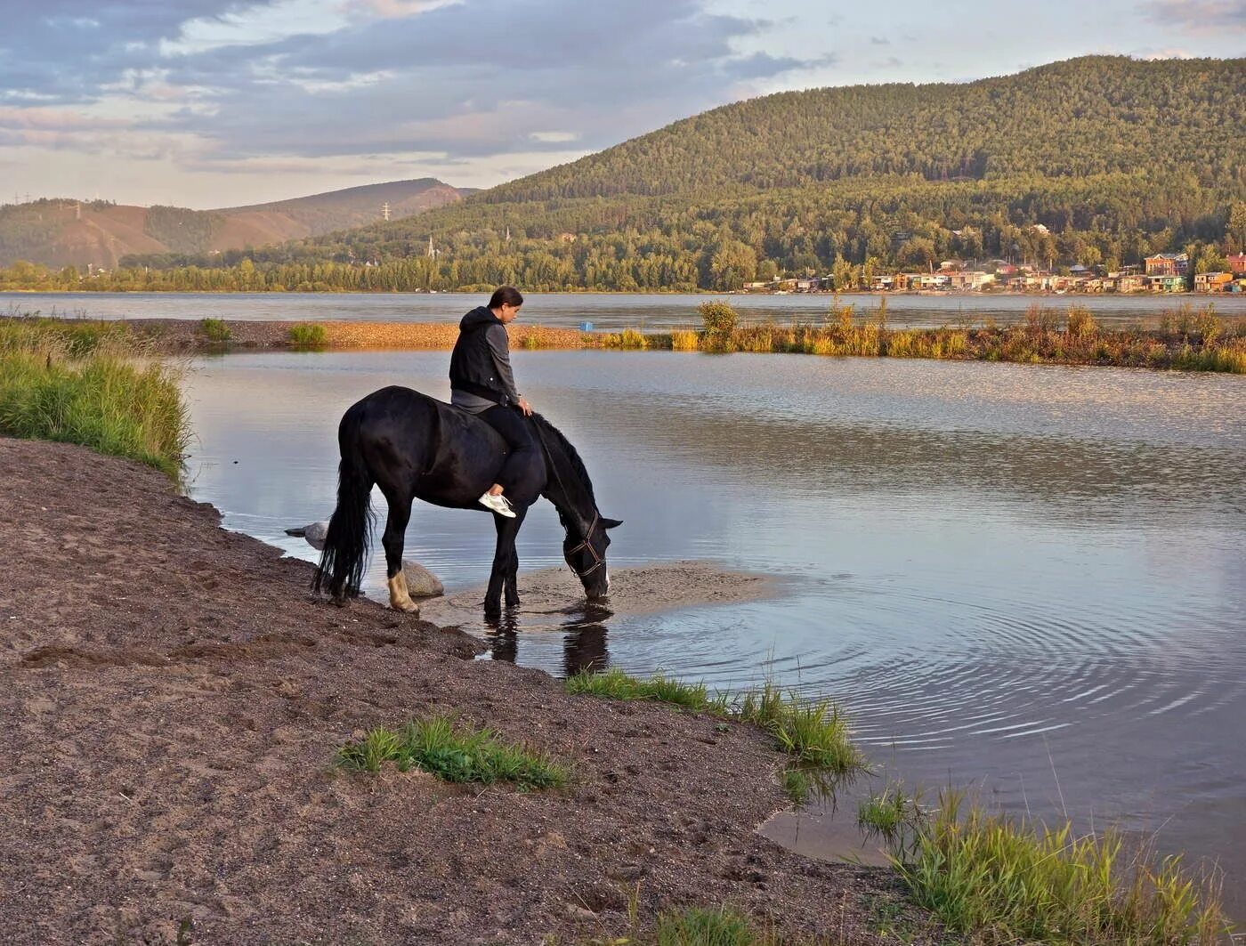 Чудесный витязь коня из реки. Лошадь у реки. Конь на речке. Кони у реки. Река жеребец.