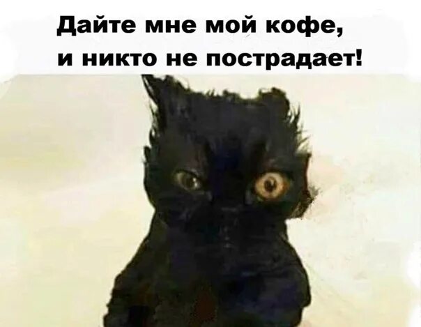 Где мой а нет