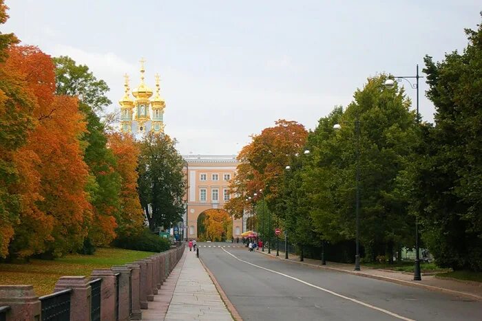 Погулять пушкине. Город Пушкин Ленинградской области. Пушкин город. Улицы города Пушкин. Город Пушкин Ленинградской области фото города.